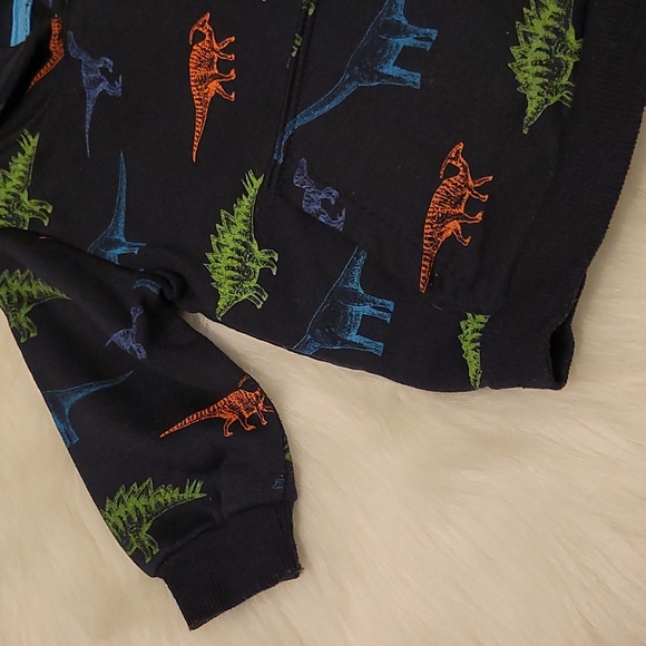 Free Planet Dinosaur Hoodie - 12 Mos. - Picture 3 of 6